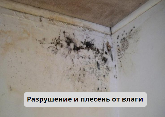 Плесень на стенах из-за влаги
