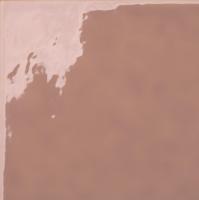 Плитка Kerama Marazzi  Виктория коричневый 20х20 глянцевая Плитка Kerama Marazzi  Виктория коричневый 20х20 глянцевая