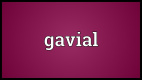 GAVIAL