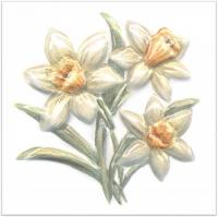 Декор Kerama Marazzi  Оранжерея Нарциссы 9.9х9.9 глянцевый Декор Kerama Marazzi  Оранжерея Нарциссы 9.9х9.9 глянцевый