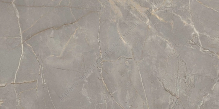 Керамогранит Estima BR03 60x120x10 Полированный фото в интернет-магазине Мегастроймаркет