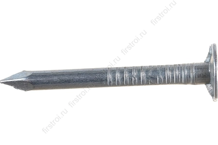 Гвоздь кровельный оцинкованный 3x50 фото в интернет-магазине Мегастроймаркет
